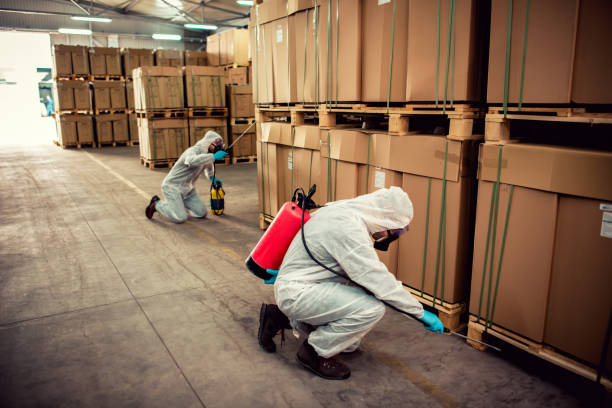 Best Termite Control Services  in Lathrop, CA