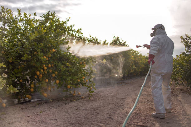 Best Best Pest Control Companies  in Lathrop, CA
