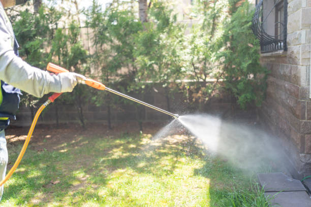 Best Pest Removal Services  in Lathrop, CA