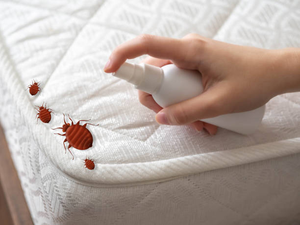 Best Pest Prevention Services  in Lathrop, CA