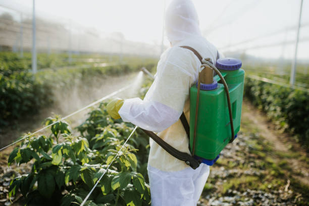 Best Ant Control Services  in Lathrop, CA